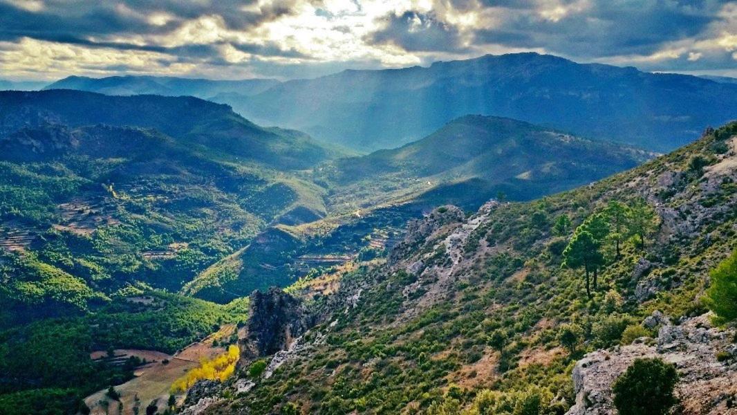Casas Rurales Camaretas Yeste Zewnętrze zdjęcie